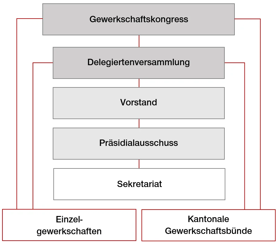 Organigramm
