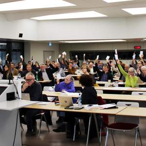 Delegierte stimmen per Kartenzeichen ab