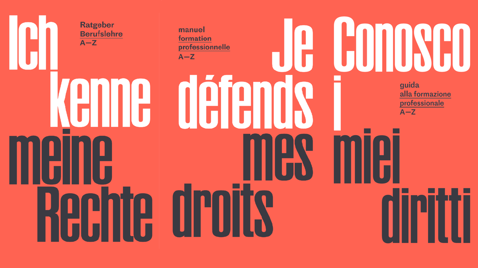 Ich kenne meine Rechte - Je défends mes droits - Conosco i miei diritti