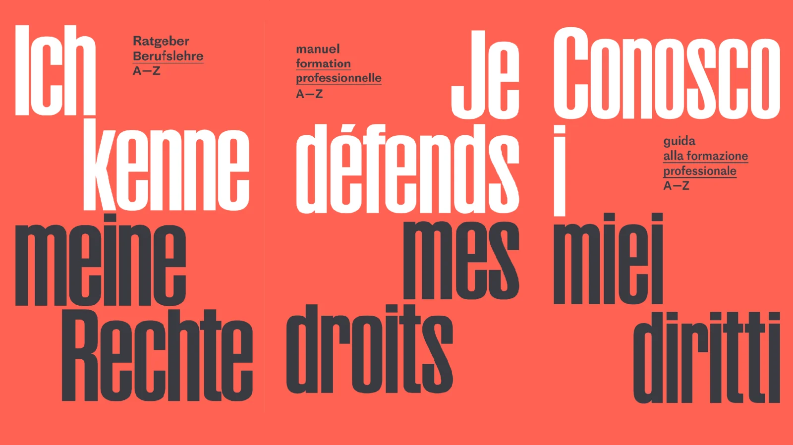 Ich kenne meine Rechte - Je défends mes droits - Conosco i miei diritti